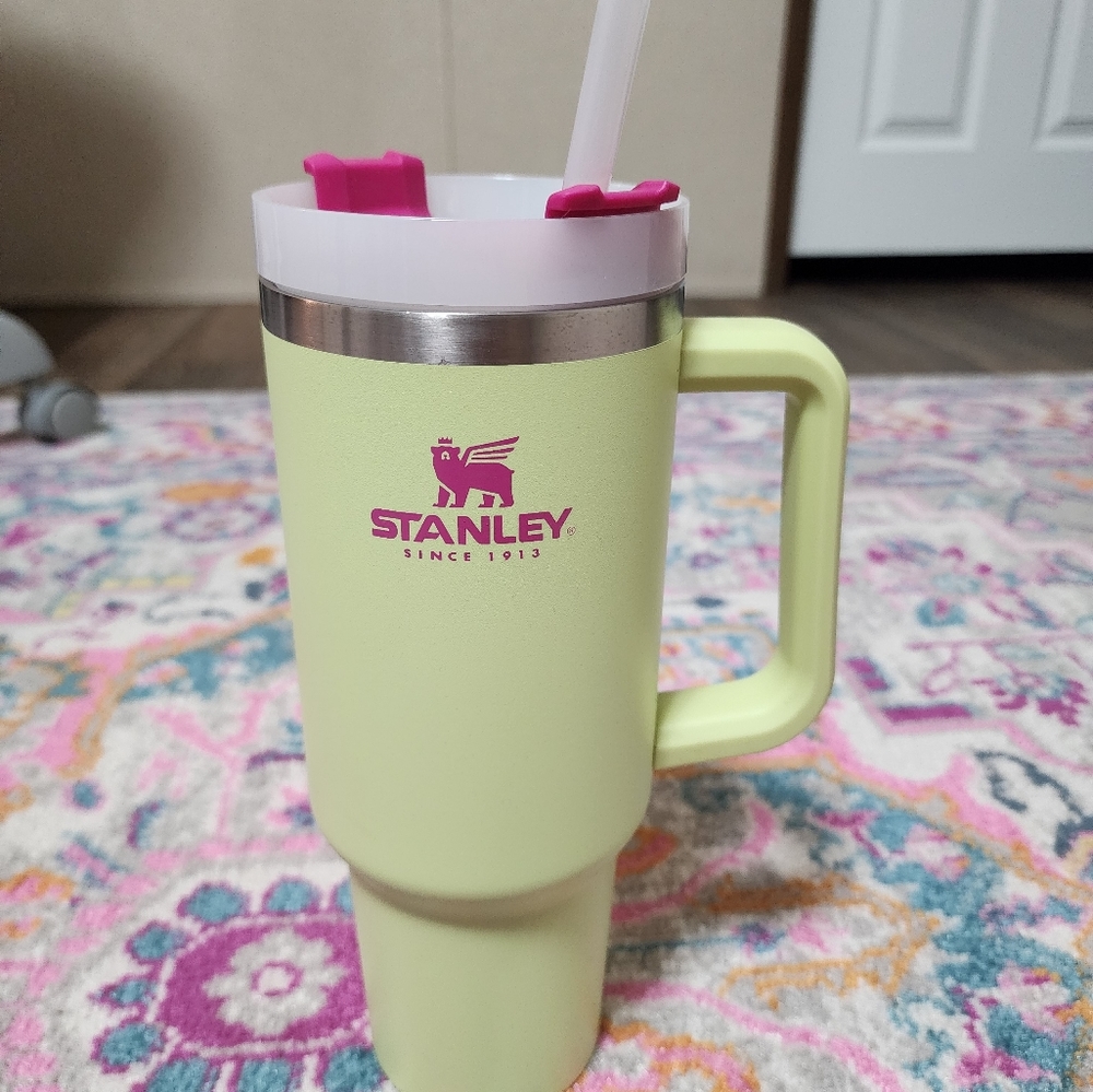 New Stanley Citron and pink 40oz